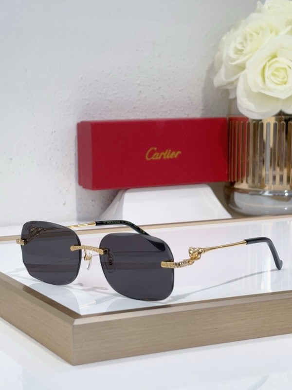 Cartier Glasses 08smh136 (1)