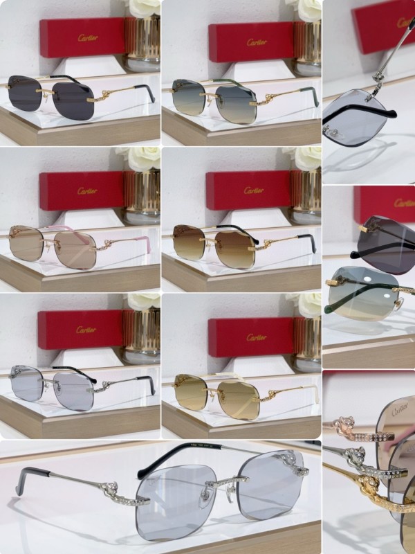 Cartier Glasses 08smh136 (10)