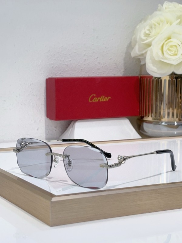 Cartier Glasses 08smh136 (6)