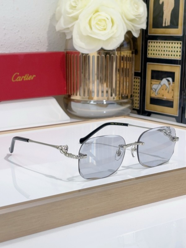 Cartier Glasses 08smh136 (7)