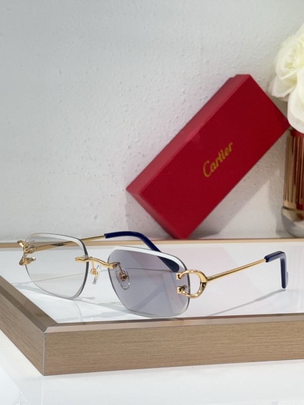 Cartier Glasses 08smh137 (2)