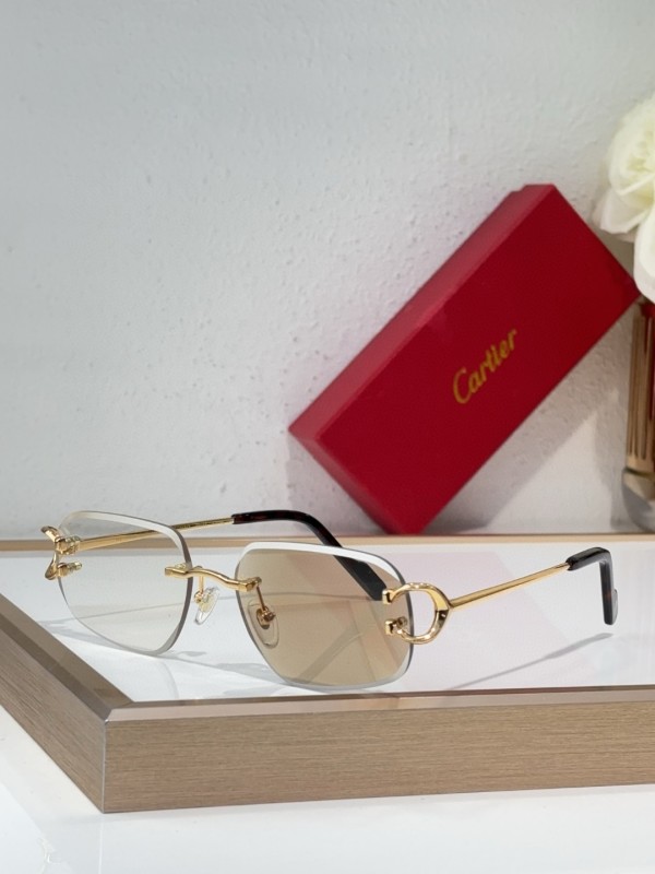 Cartier Glasses 08smh137 (3)