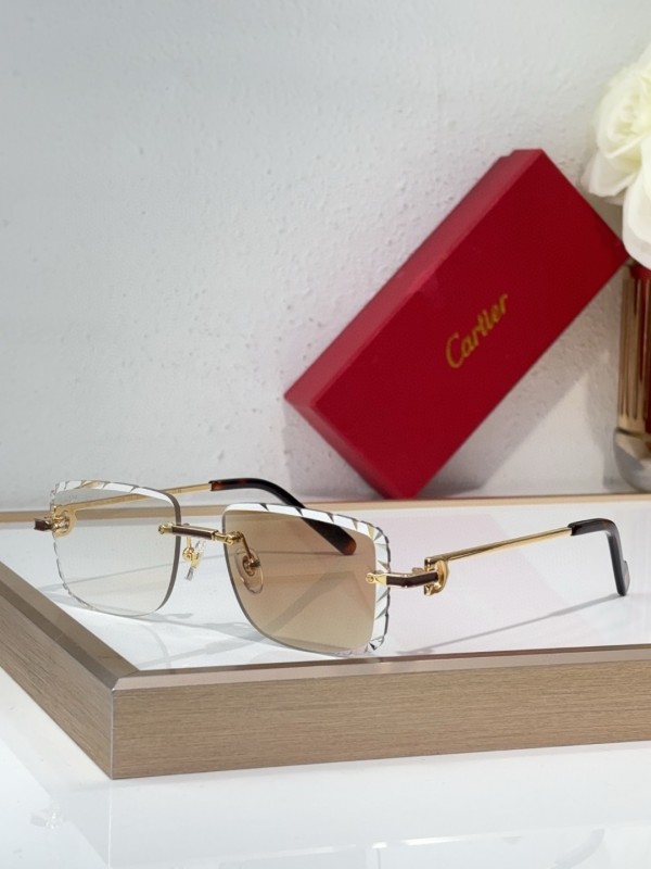 Cartier Glasses 08smh138 (1)