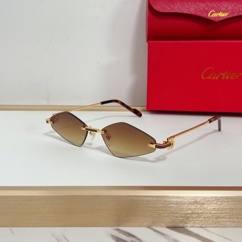 Cartier Glasses 08smh139 (3)