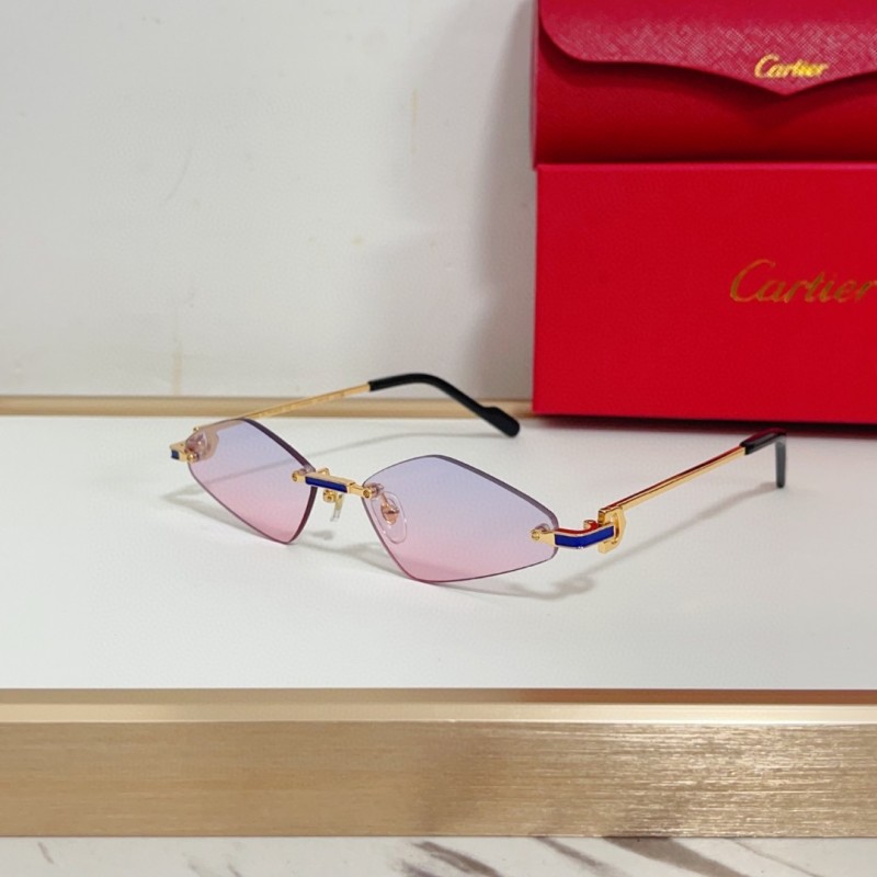 Cartier Glasses 08smh139 (4)