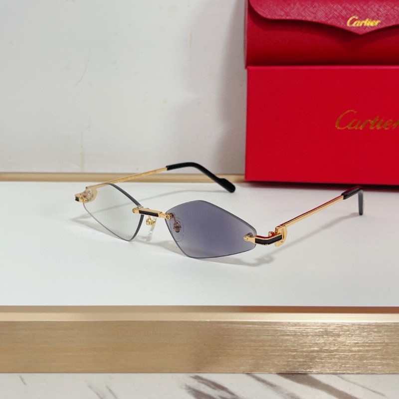 Cartier Glasses 08smh139 (7)