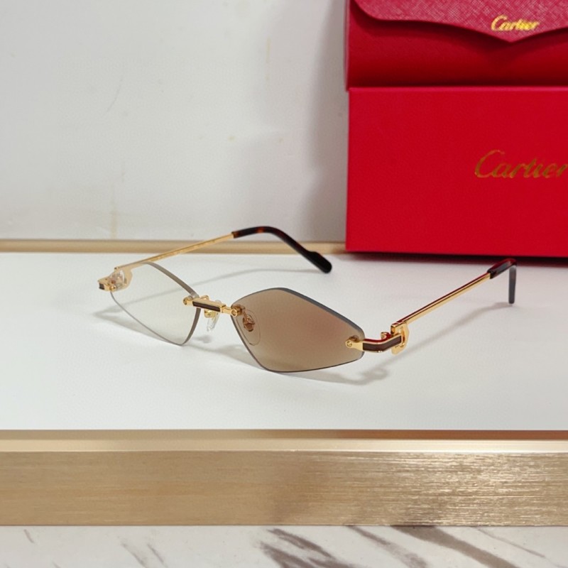Cartier Glasses 08smh139 (8)