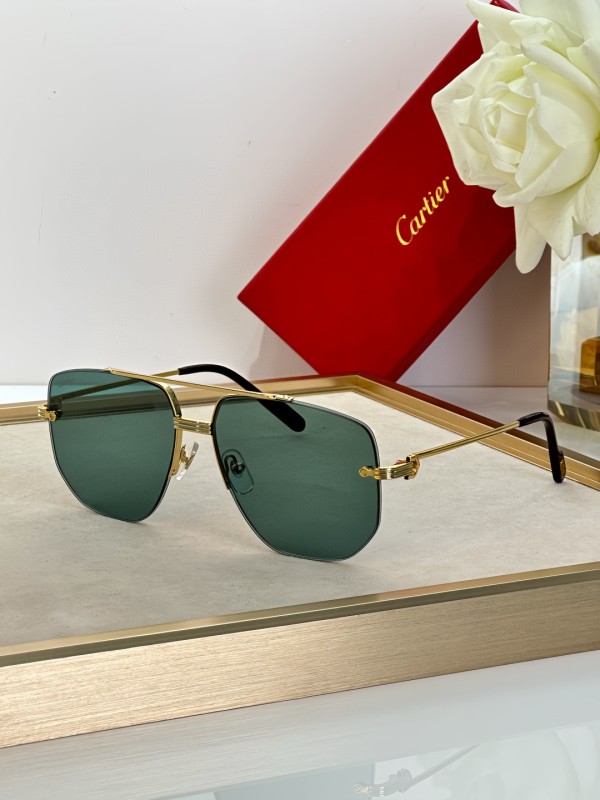 Cartier Glasses 08smh14 (1)