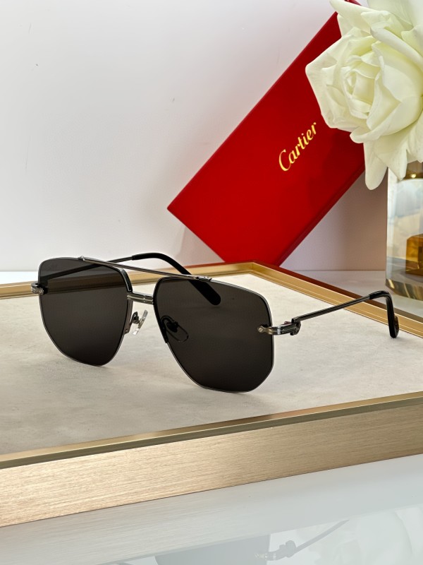 Cartier Glasses 08smh14 (2)