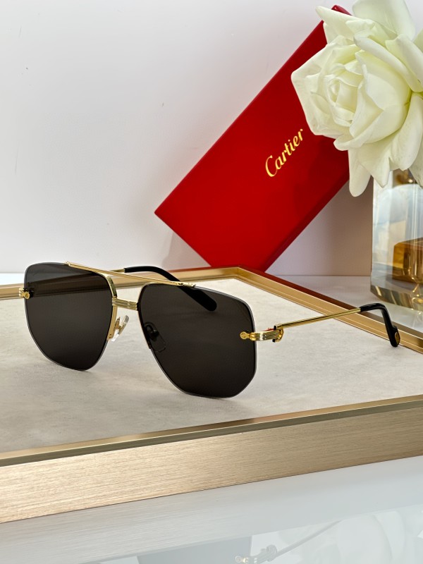 Cartier Glasses 08smh14 (3)