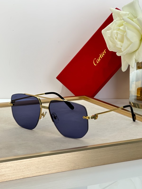 Cartier Glasses 08smh14 (4)