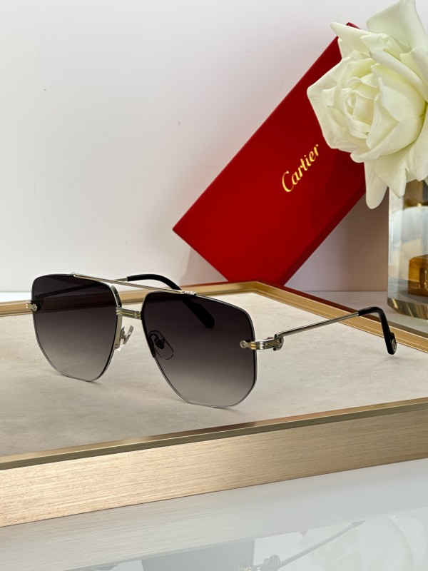 Cartier Glasses 08smh14 (5)