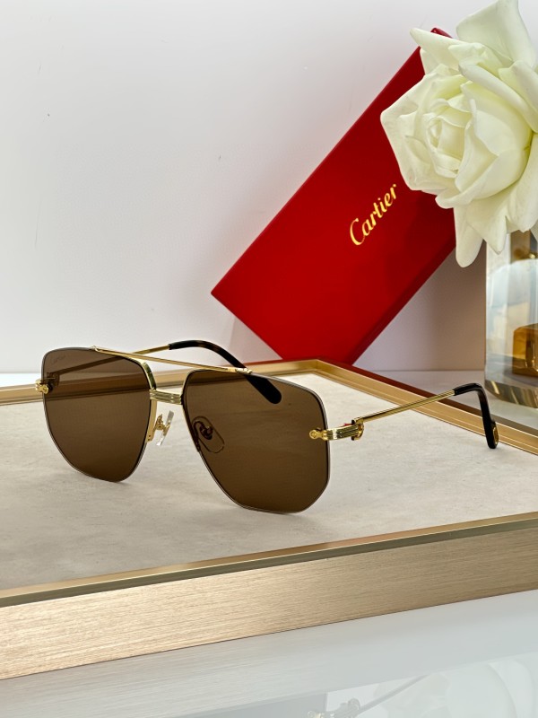 Cartier Glasses 08smh14 (6)