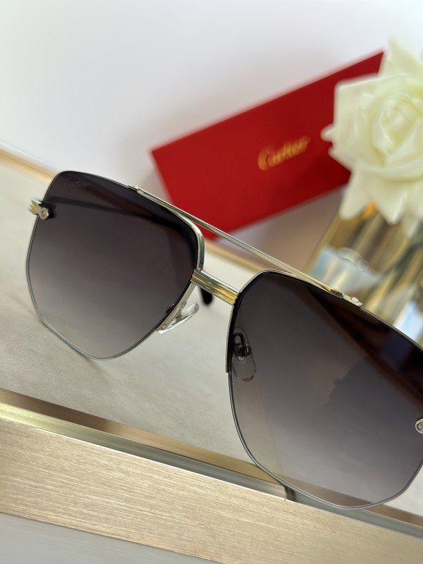 Cartier Glasses 08smh14 (8)