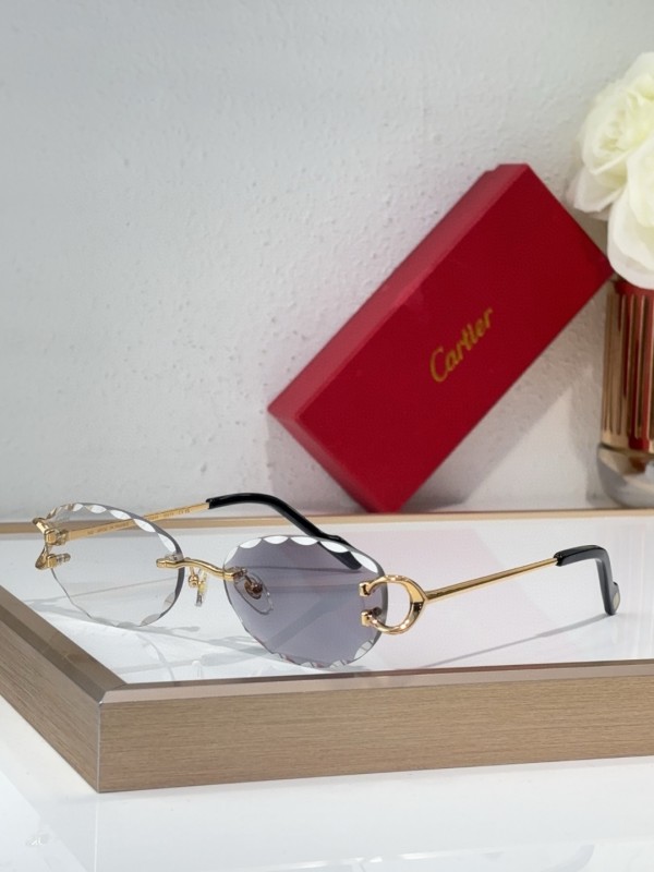 Cartier Glasses 08smh140 (1)