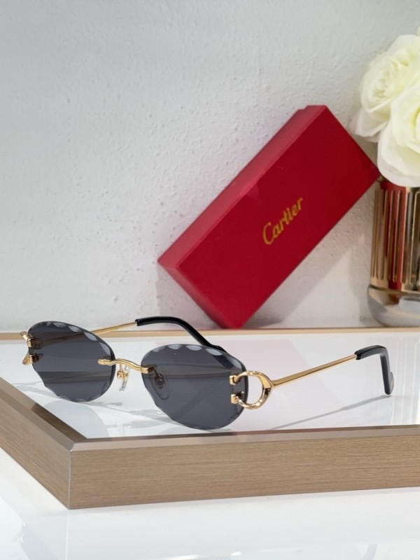 Cartier Glasses 08smh140 (4)