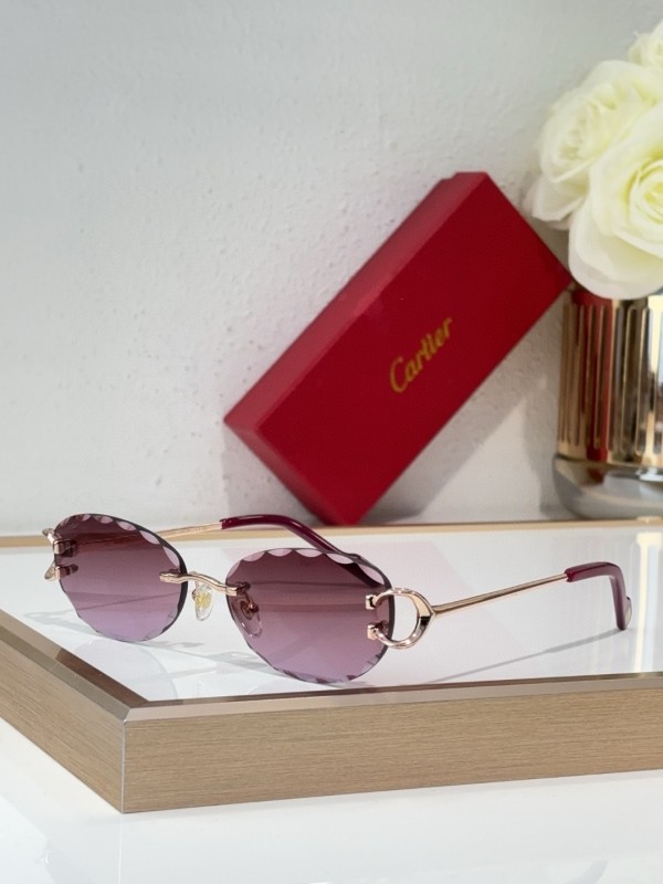 Cartier Glasses 08smh140 (5)