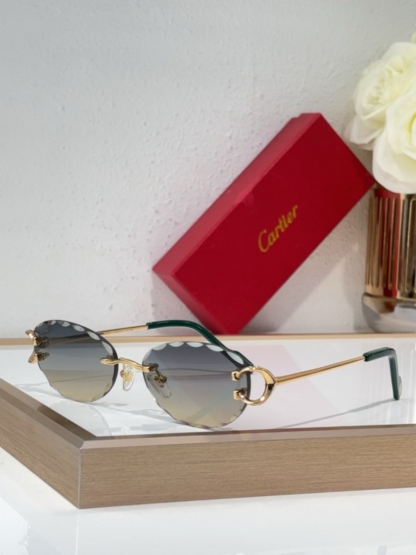 Cartier Glasses 08smh140 (7)