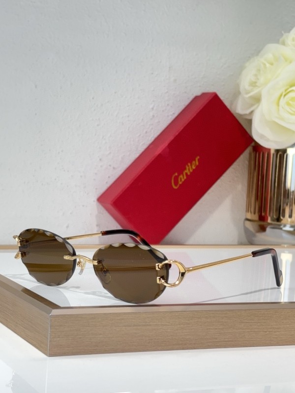 Cartier Glasses 08smh140 (8)