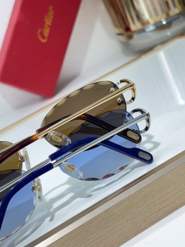 Cartier Glasses 08smh140 (9)