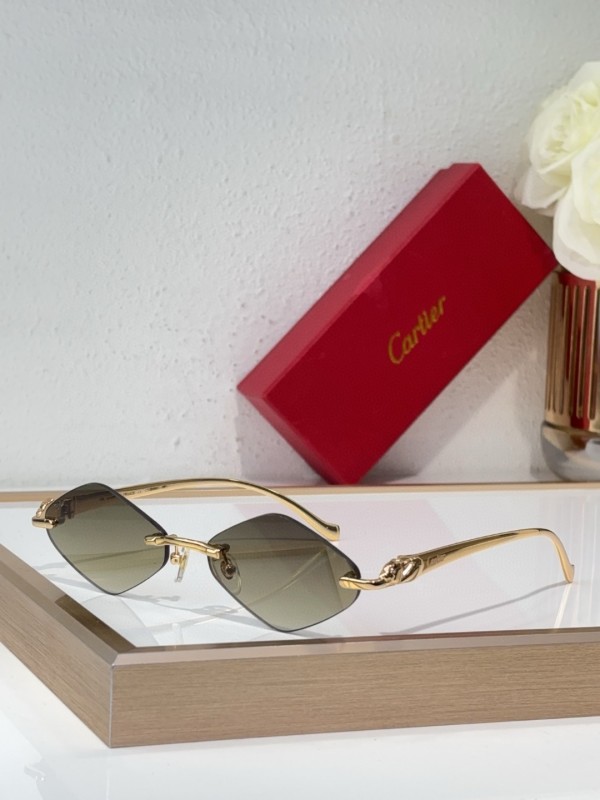 Cartier Glasses 08smh141 (1)