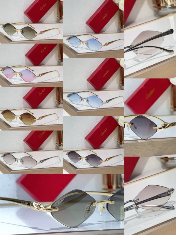 Cartier Glasses 08smh141 (10)