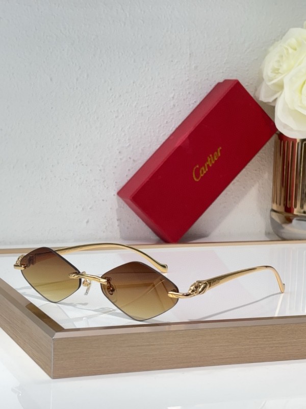 Cartier Glasses 08smh141 (3)