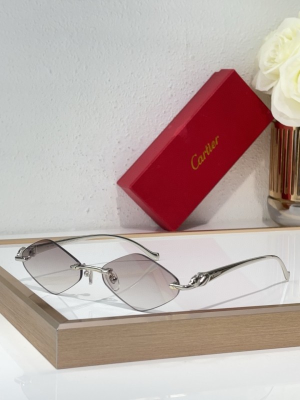 Cartier Glasses 08smh141 (4)