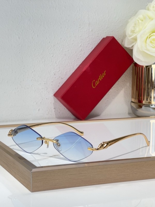 Cartier Glasses 08smh141 (5)