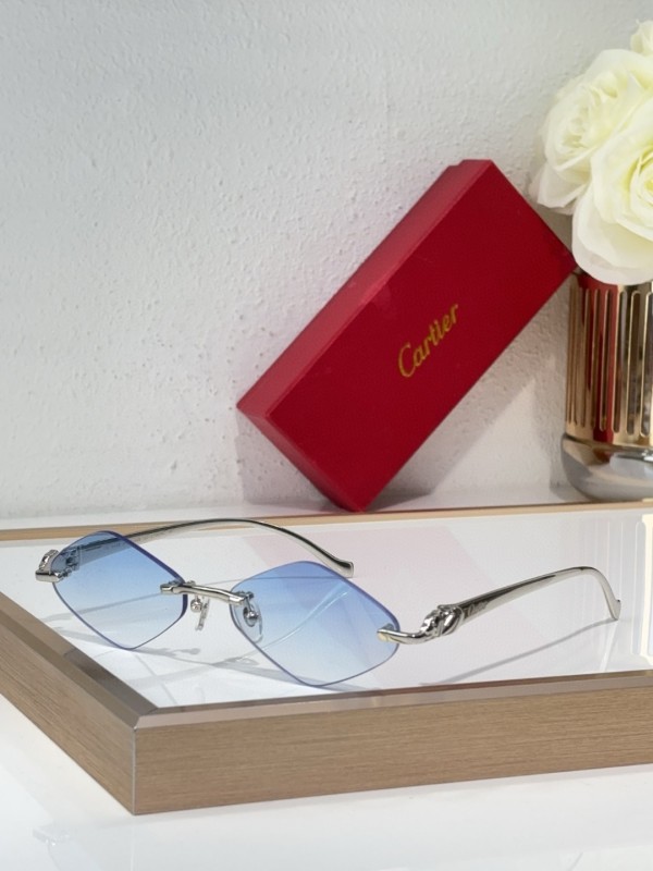 Cartier Glasses 08smh141 (6)