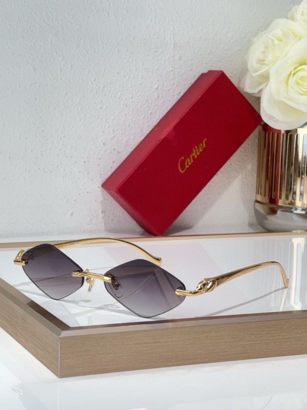 Cartier Glasses 08smh141 (7)