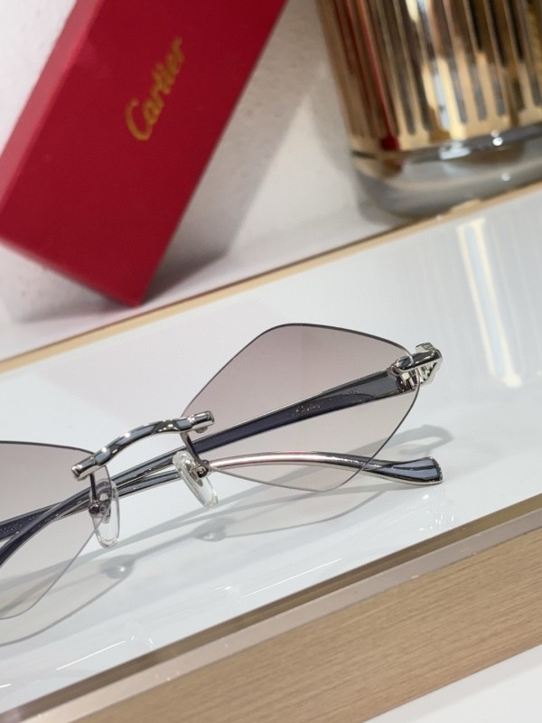 Cartier Glasses 08smh141 (8)