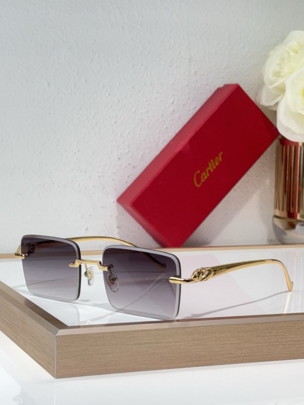 Cartier Glasses 08smh142 (1)