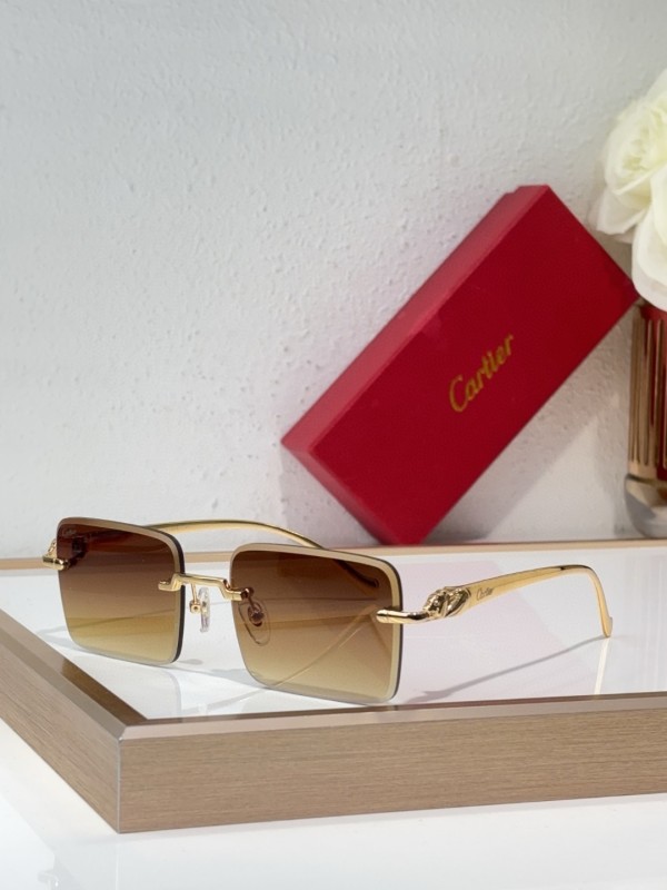 Cartier Glasses 08smh142 (2)