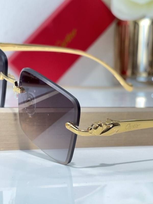 Cartier Glasses 08smh142 (8)