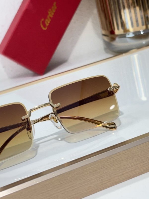 Cartier Glasses 08smh142 (9)