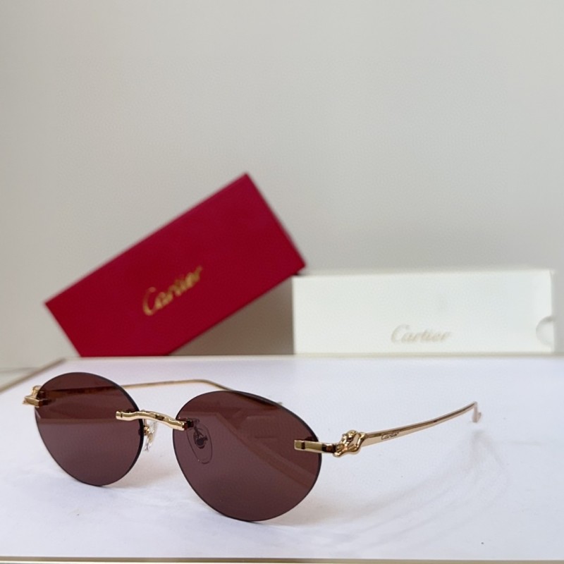 Cartier Glasses 08smh143 (1)