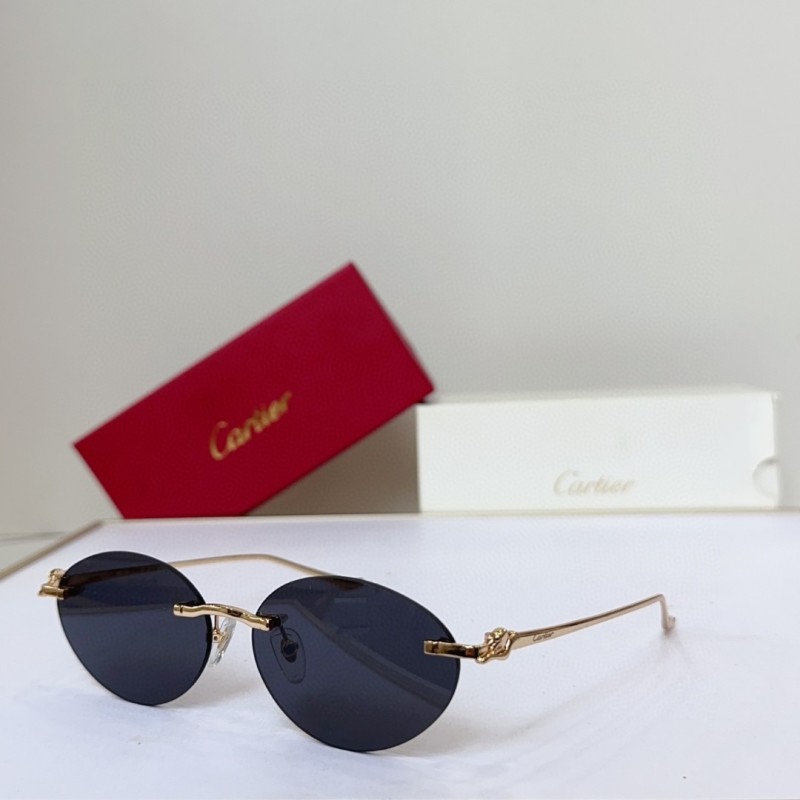 Cartier Glasses 08smh143 (3)