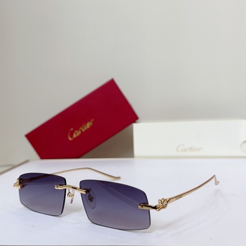 Cartier Glasses 08smh144 (2)