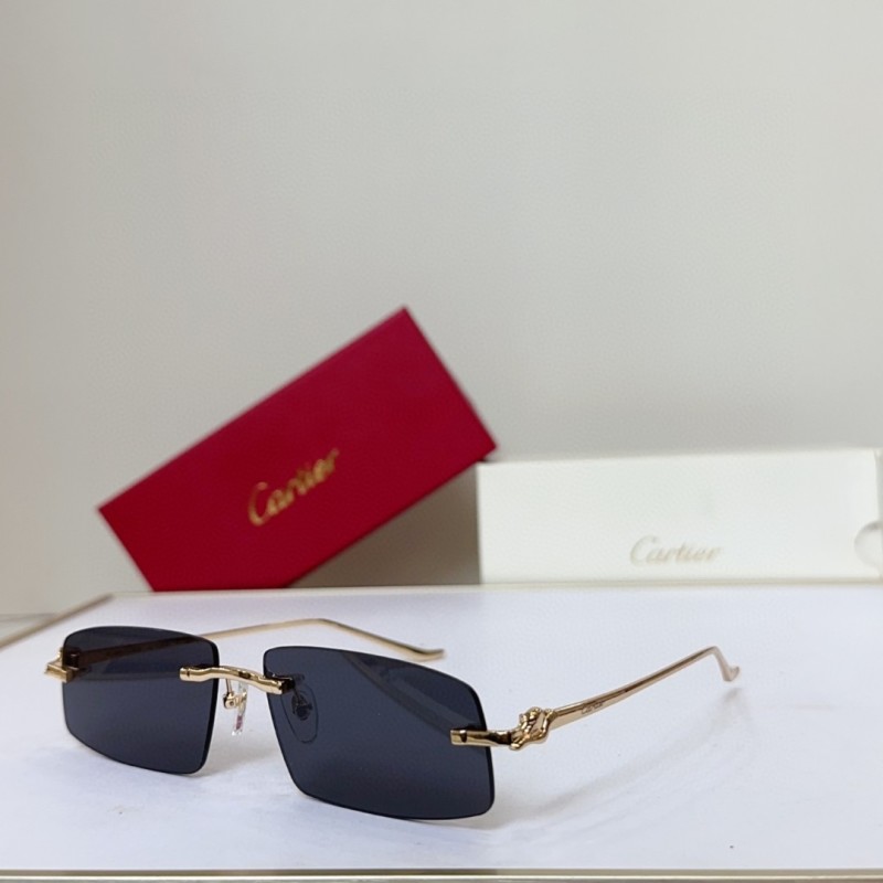 Cartier Glasses 08smh144 (3)