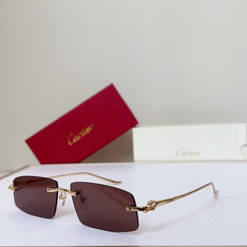 Cartier Glasses 08smh144 (4)