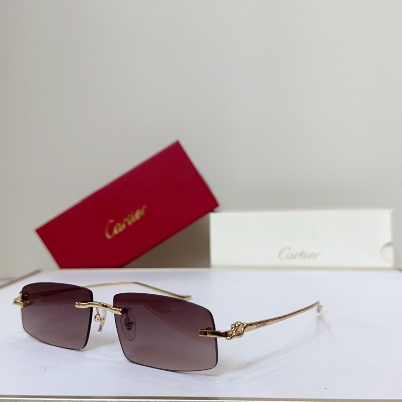 Cartier Glasses 08smh144 (5)