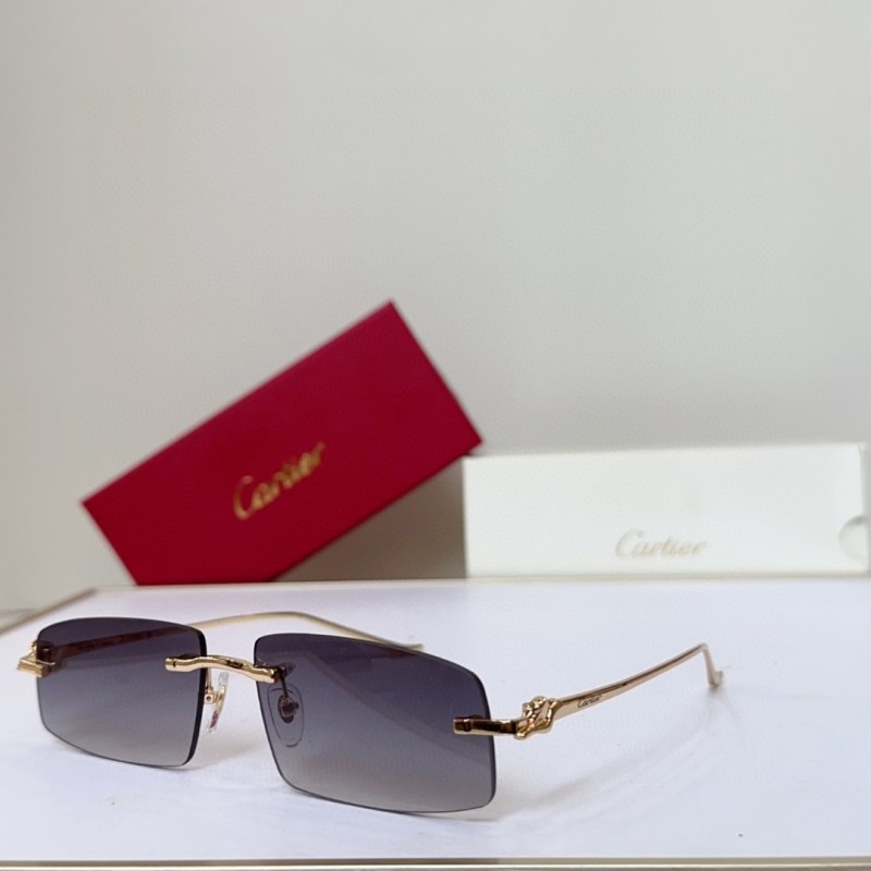 Cartier Glasses 08smh144 (6)