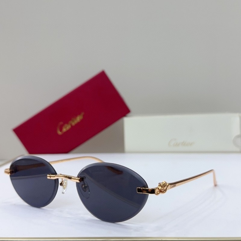 Cartier Glasses 08smh146 (1)