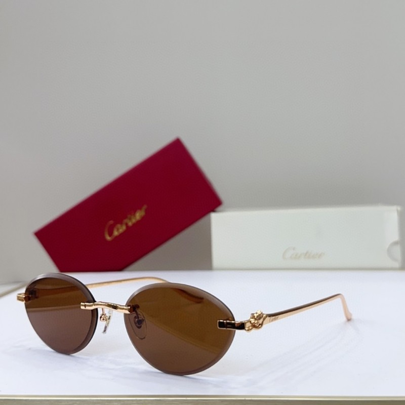 Cartier Glasses 08smh146 (3)