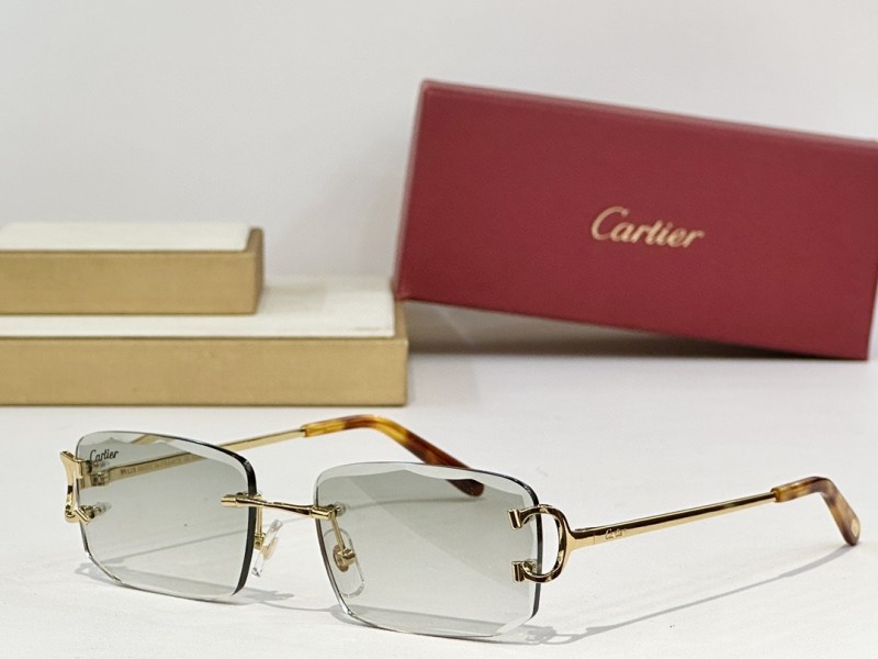 Cartier Glasses 08smh147 (4)