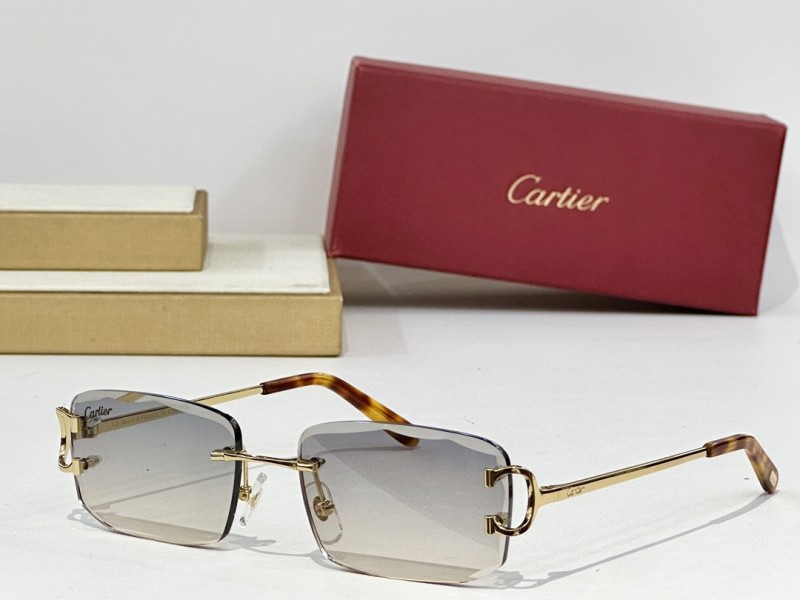 Cartier Glasses 08smh147 (5)