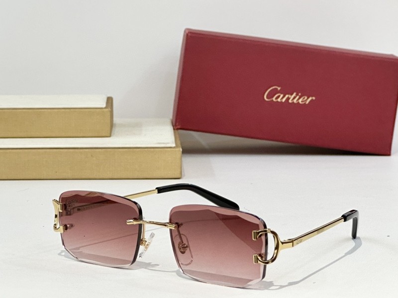 Cartier Glasses 08smh147 (6)