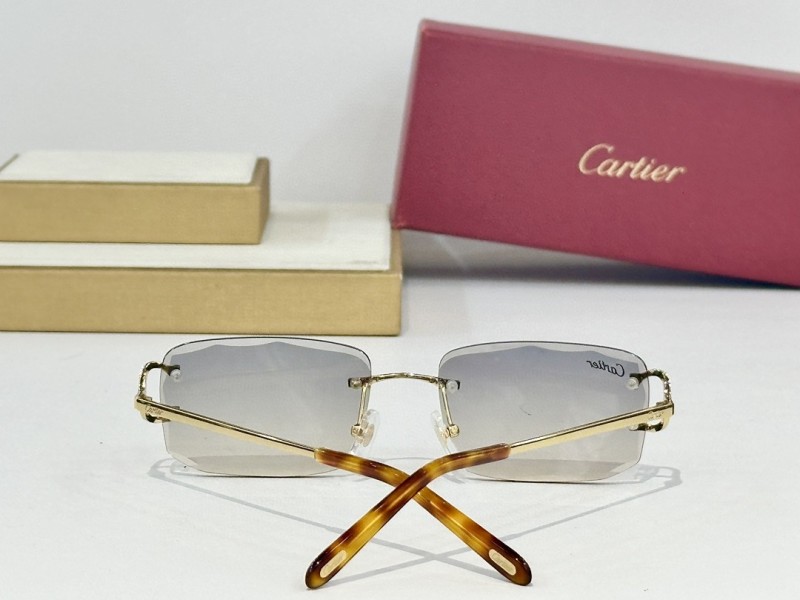 Cartier Glasses 08smh147 (7)