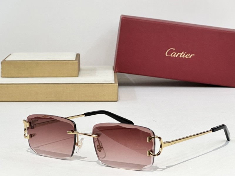 Cartier Glasses 08smh148 (2)